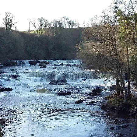 ゲストハウス Willance House