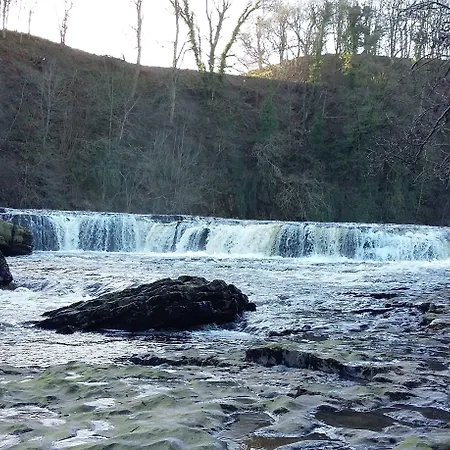 Willance House リッチモンド